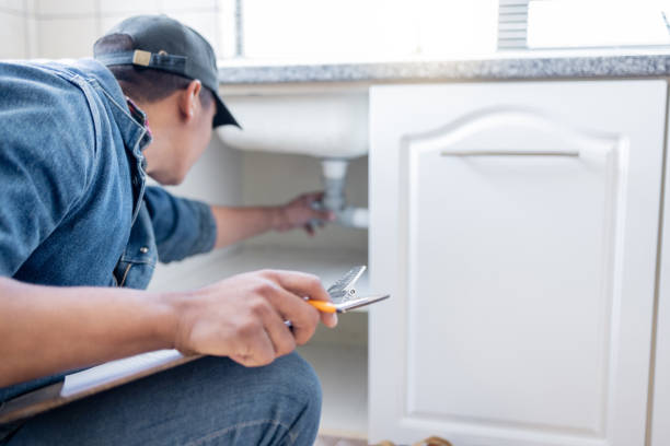 Best Commercial Plumbing Services  in Topaz Ranch Estates, NV