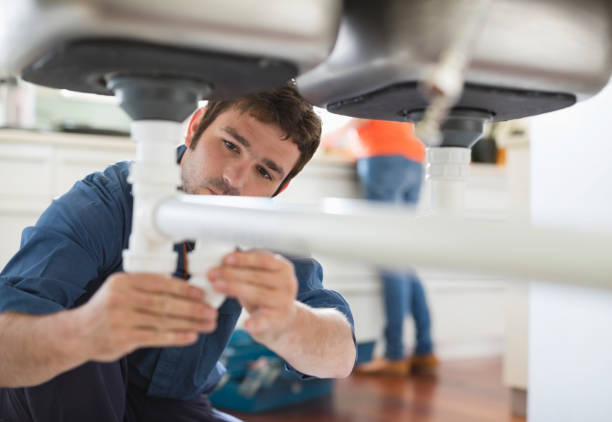 Best Plumbing Services Near Me  in Topaz Ranch Estates, NV