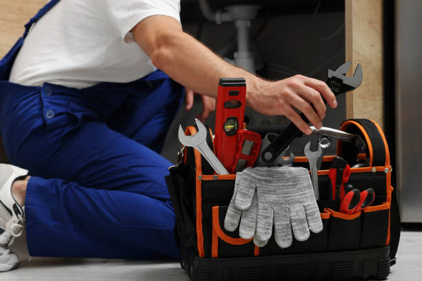 Best Toilet Repair Services  in Topaz Ranch Estates, NV